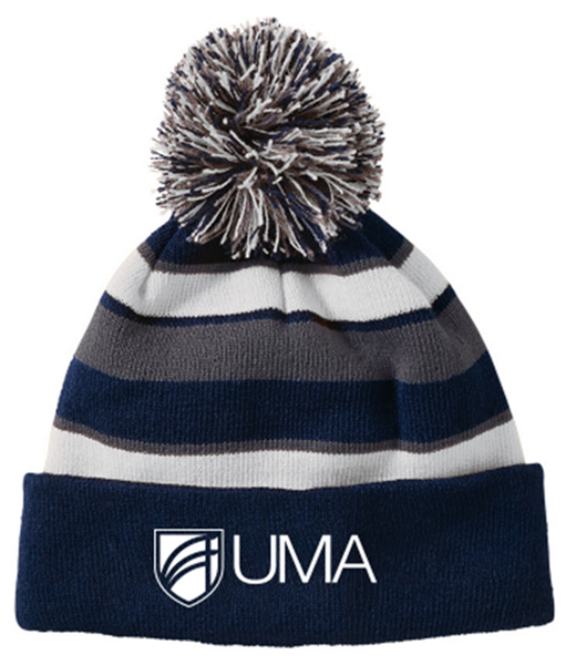 Picture of Knit Hat - Navy/White/Graphite